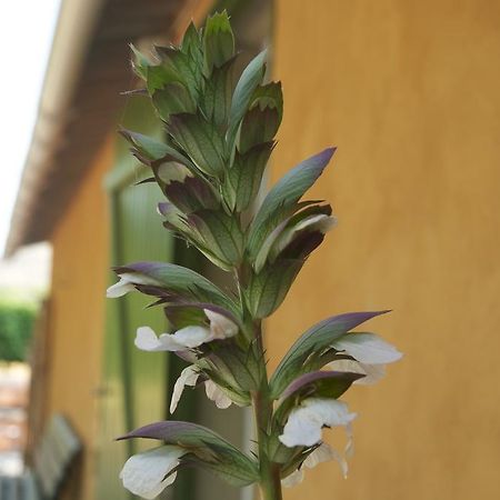 Le Petit Bacalan Villa Mormoiron Kültér fotó