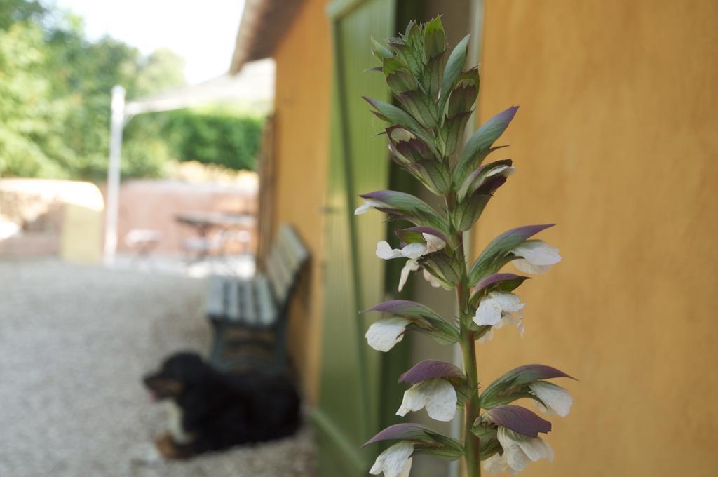 Le Petit Bacalan Villa Mormoiron Szoba fotó