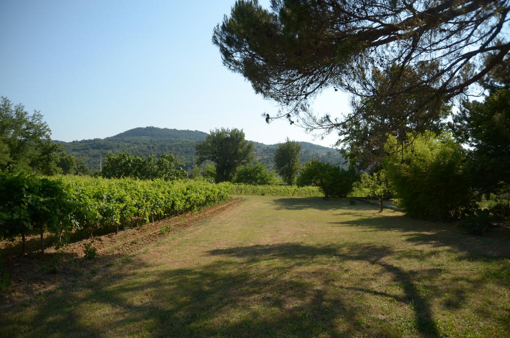 Le Petit Bacalan Villa Mormoiron Szoba fotó