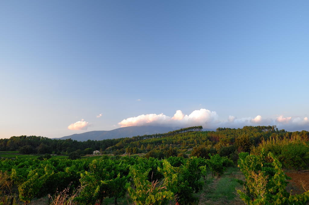 Le Petit Bacalan Villa Mormoiron Szoba fotó